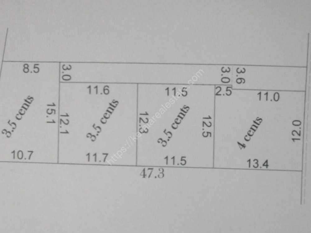 First slide