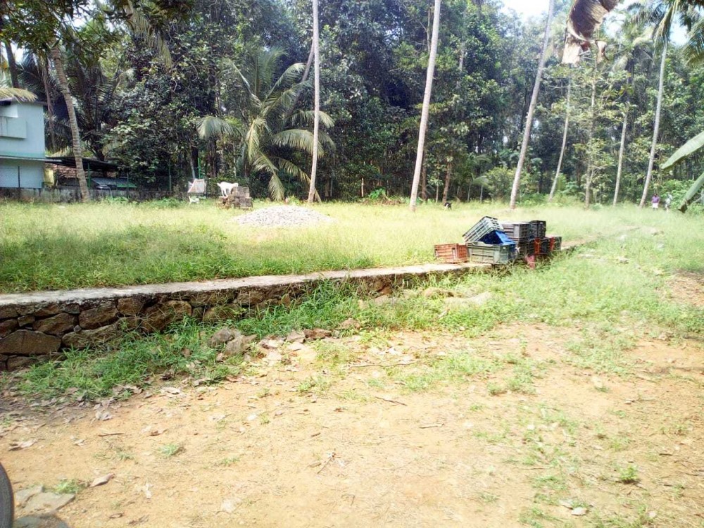 First slide