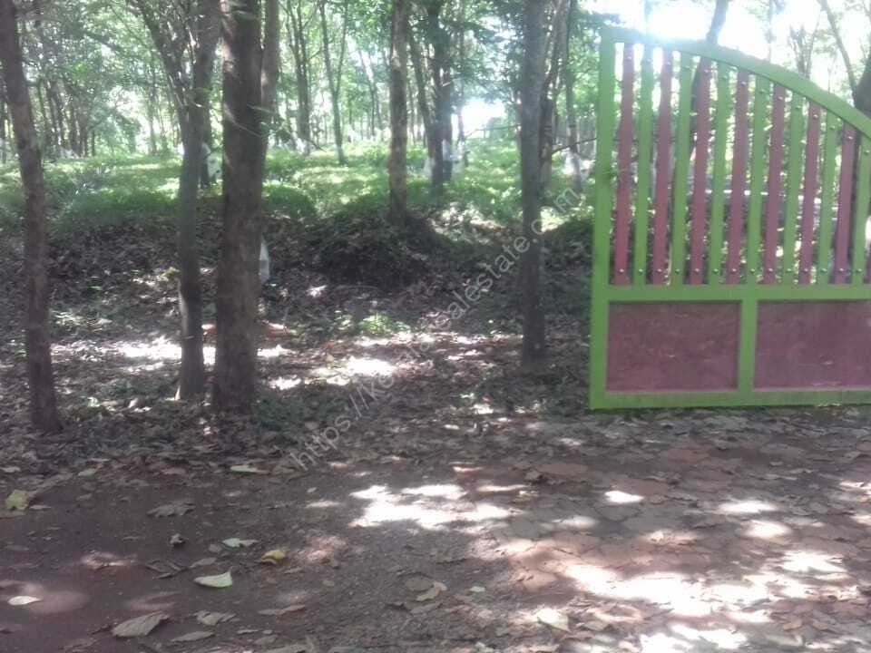 First slide