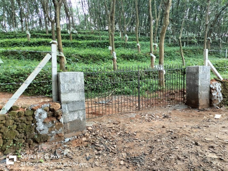 Rubber Plantation for Sale at Kothamangalam, Ernakulam