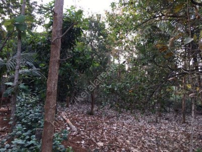 Residential land for sale at Palappuram,Palakkad