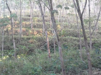 Property with Rubber plantation for sale at Vembayam,Madapuram, Trivandrum