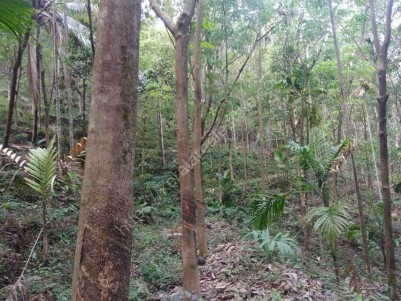 Commercial and Agricultural land for sale at Alakode, Kannur