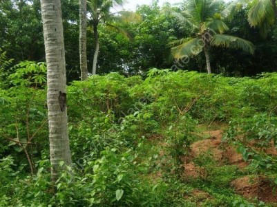 Residential Land for Sale at Near Vazhimukku, Balaramapuram, Trivandrum