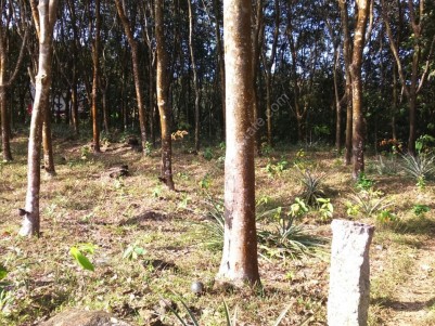  1.235 Acres of Prime Land for sale at Nedumangad, Trivandrum