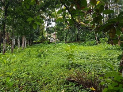 Residential Land for Sale at Kumaranallor, Kottayam