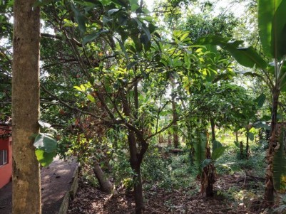 100 Cents Residential Land for Sale at  Near Kalathipady, Kottayam