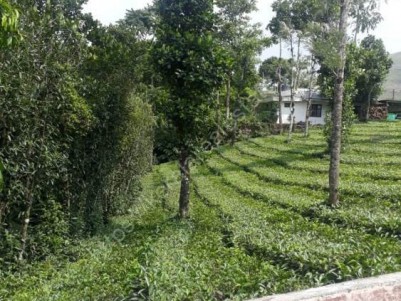 2.33 Acre Agricultural Land for Sale at Valakkode Jn., Upputhara, Idukki.