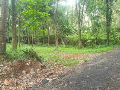  52 Cents of Residential Land ( Grown up Rubber) for Sale near Valakom, Muvattupuzha.