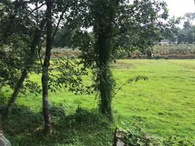 10 Cents of Residential Plots for Sale at Thodupuzha, Idukki.