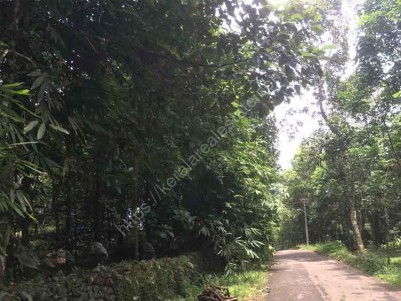 2 Acres of Plots for Sale at East Kaloor, Thodupuzha.