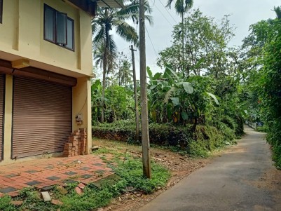 13. 5 Cents of Residential Land for Sale at Thamarassery Town (Near KSRTC).