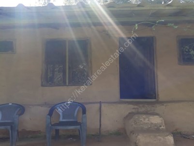 15 Cents with Mud House for sale at Kanthaloor, Munnar
