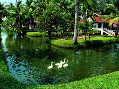 Luxury Waterfront Resort for Sale at Kumarakom, Kottayam
