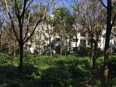 4 Acres land for sale at Aluva-Perumbavoor, Ernakulam