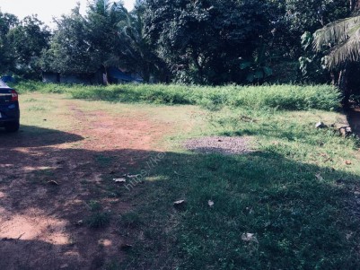 Plots for sale - 11 Cents near Aluva-Angamaly Route,Ernakulam