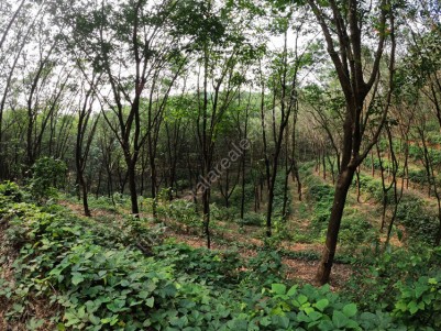 32.5Acres of land (Rubber +Arecanut) for sale in Sreekandapuram, Kannur