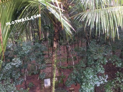 Residential Land for sale in Kodumon. House Plot for sale in Aickadu, Pathanamthitta.