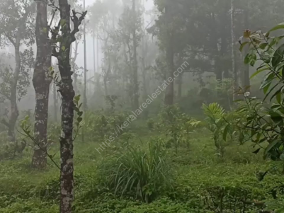 2.59 Acre Farm Land for Sale in Mananthavady, Wayanad - 35,000/Cent