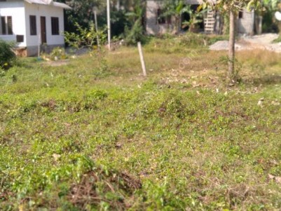 20 CENT PLOT FOR SALE AT IDUKKI