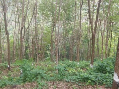 1 Acre Rubber plantation for sale near Chittar Town, Meenkuzhi, Pathanamthitta