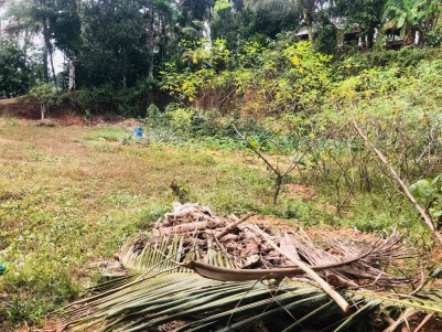 VILLA LAND FOR SALE IN WAYANAD