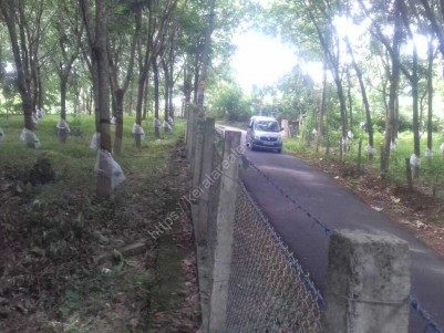 10 Acres for sale at Panjal Village, Near Kalamandalam Thrissur 