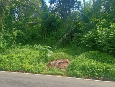 42.78 Cents of land (multipurpose) for sale on Ponnani  Palakkad state highway, Edappal, Malappuram