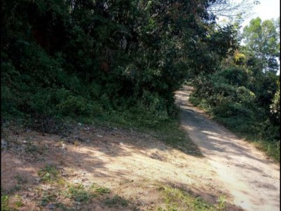 Land for Sale at Elavumthitta, Pathanamthitta