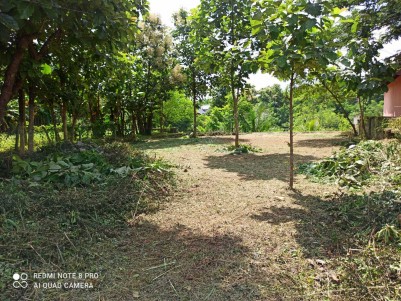 Prime Residential Land For Sale at Pampady,Thiruvilwamala,Thrissur