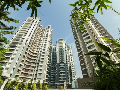 1 BHK Furnished Ac Flat for Rent for 8850/- in Kochi at Aluva
