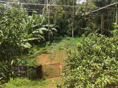 Residential Plot for sale on Aloor Bypass Road, Kodakara, Thrissur