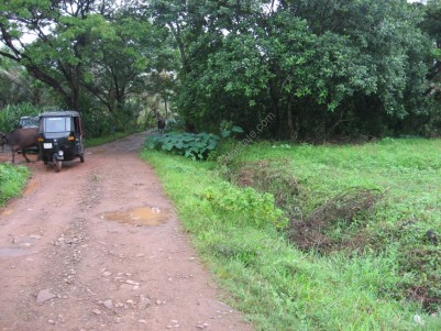 Prime Residential Land for sale at Kodimatha, Kottayam
