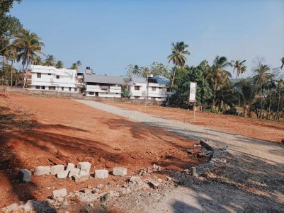 Lands ( Purayidom) for Sale at Bosco Nagar, Mannuthy, Thrissur