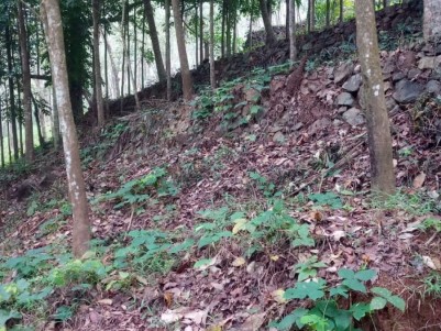 Private Land For Sale in Kallar,Arinkallu Sub Road,Kazargod