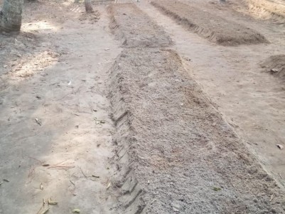 House Plot For Sale at Kayamkulam, Alappuzha