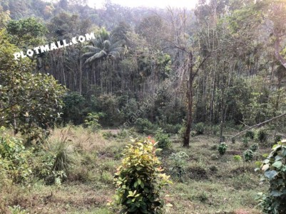 Private Land for Sale at Kavumannam, Wayanad