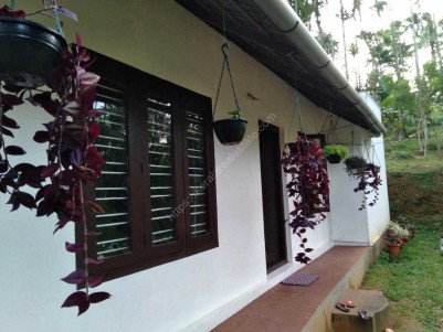 3 Acres of Organic Land Suitable for Resort and Farm for Sale at Krishnagiri, Wayanad 