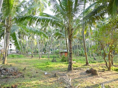 60 Cents of Land for Sale at Pavaratty, Thrissur