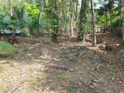 46 Cents of Land for Sale at Chunkappara, Pathanamthitta