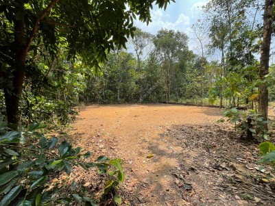 30 Cents of Residential Plain Plot for Sale at Anappara, Ernakulam