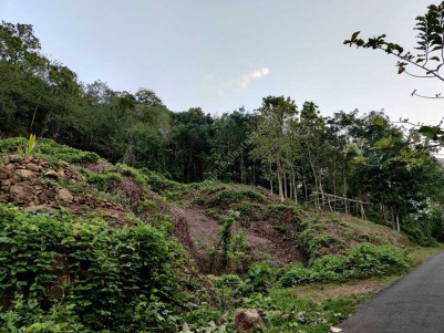 Agriculture Land for Sale Manimala, Kottayam