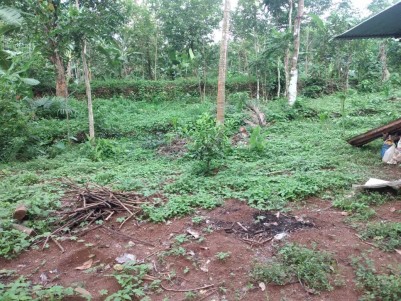 55 Cents of Land for Sale at Kattilapoovam, Thrissur