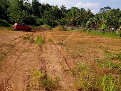  75 CENTS OF COMMERCIAL PLOT FOR SALE AT NAGAROOR, RALOORKAVU, TRIVANDRUM 