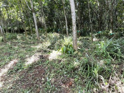  Land for Sale at Vettikkal near Mulanthuruthy, Ernakulam