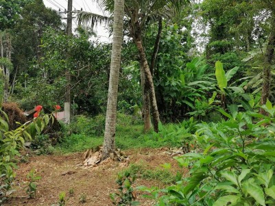 Residential Plot for Sale at Pandalam,Pathanamthitta