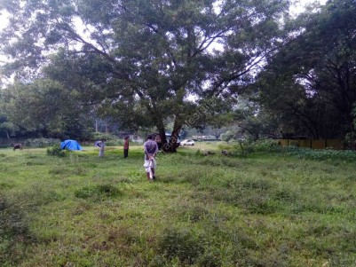 1.02 Acres of Land for Sale at Paathiraamanal, Alappuzha