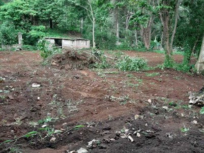 46 Cents of Land for Sale at Thiruvalla, Pathanamthitta
