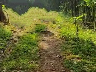 Residential Plot for Sale at Koothattukulam, Ernakulam