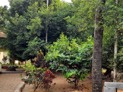 12 Cents of Prime Land for Sale in the Heart of Angamaly Town, Ernakulam